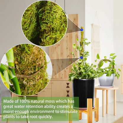 Versatile Handmade Bendable Moss Pole for Climbing Indoor Plants