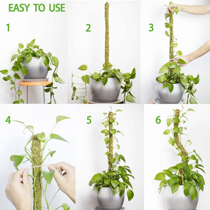 Versatile Handmade Bendable Moss Pole for Climbing Indoor Plants