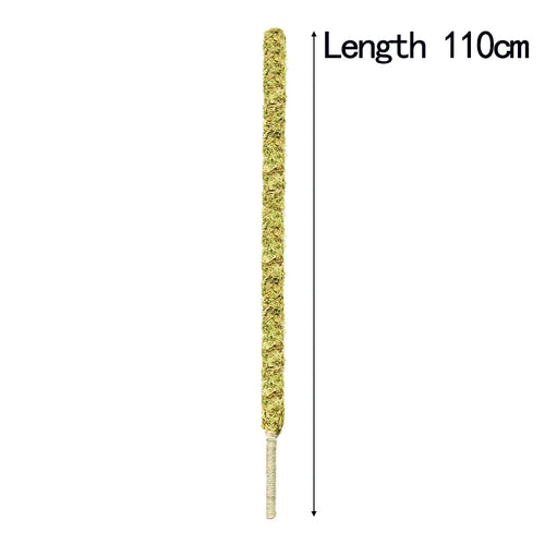 Versatile Handmade Bendable Moss Pole for Climbing Indoor Plants