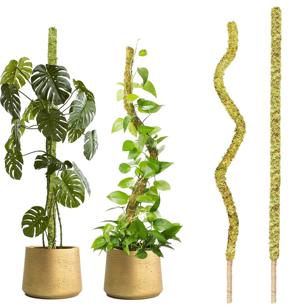 Versatile Handmade Bendable Moss Pole for Climbing Indoor Plants