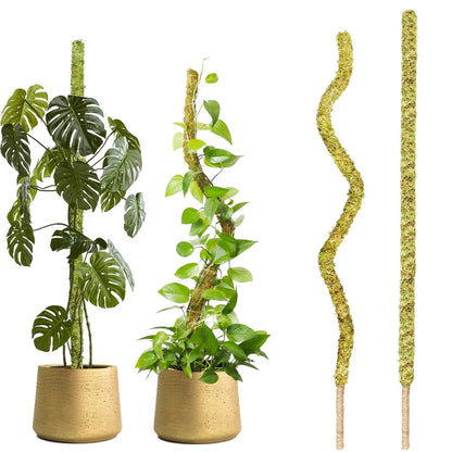 Versatile Handmade Bendable Moss Pole for Climbing Indoor Plants